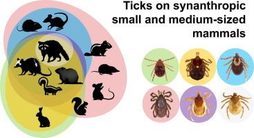 Ticks (Acari: Ixodida) on synanthropic small and medium-sized mammals in areas of the northeastern United States infested with the Asian longhorned tick, Haemaphysalis longicornis