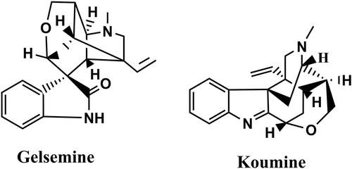 The antianxiety effects of koumine and gelsemine, two main active components in the traditional Chinese herbal medicine Gelsemium: A comprehensive review