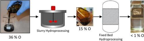 Upgrading of fast pyrolysis bio-oils to renewable hydrocarbons using slurry- and fixed bed hydroprocessing