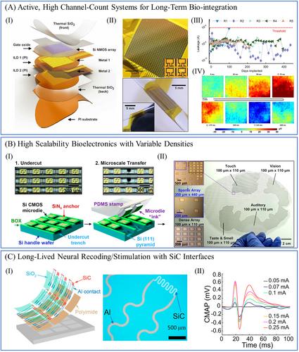 Flexible, ultrathin bioelectronic materials and devices for chronically stable neural interfaces