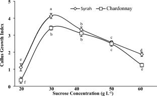 Secondary metabolite production in callus cultures of Vitis vinifera: influence of genotype and sucrose concentration in the medium on antioxidant activity