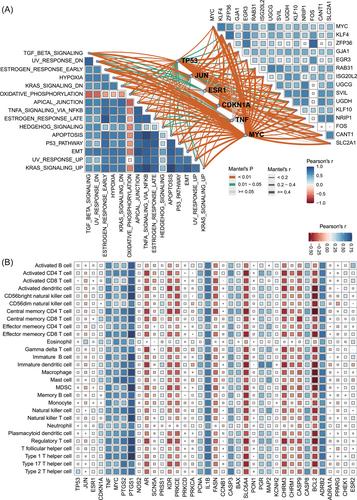 Systemic pharmacology and bioinformatics: Exploring the modern biological mechanisms of rhubarb in the treatment of papillary thyroid carcinoma