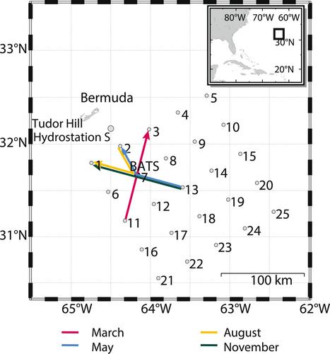 Authigenic Iron Is a Significant Component of Oceanic Labile Particulate Iron Inventories