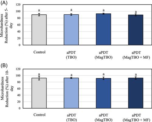 Magnetic-based photosensitizer to improve the efficiency of antimicrobial photodynamic therapy against mature dental caries-related biofilms