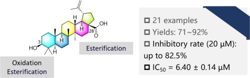 Design, synthesis and biological evaluation of betulinic acid derivatives as potential inhibitors of 3CL-protease of SARS-CoV-2