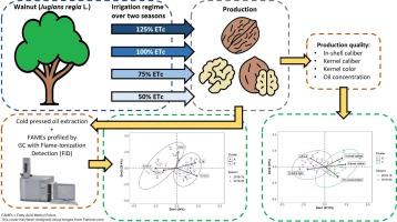 Influence of irrigation regime and seasonal temperatures on nut quality and the oil fatty acid profile of walnuts (Juglans regia L.)