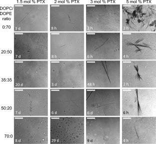 Lipids with negative spontaneous curvature decrease the solubility of the cancer drug paclitaxel in liposomes