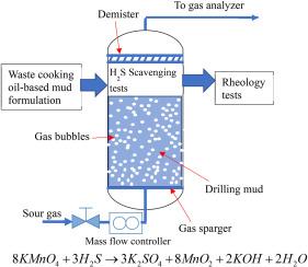 Mineral oil-based drilling fluid formulation using biosurfactant and nanoparticles with good rheological behavior and excellent H2S scavenging capability