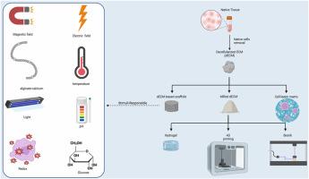 Bioreactor design-assisted bioprinting of stimuli-responsive materials for tissue engineering and drug delivery applications