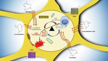 Sesquiterpene-evoked phytochemical toxicity in PC12 neuronal cells reveals a variable degree of oxidative stress and alpha-tocopherol and glutathione-dependent protection