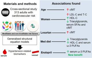 Age, sex, antihypertensive drugs and the Mediterranean diet on hypertension-related biomarkers: Impact on carotid structure and blood lipids in an Argentinian cross-sectional study