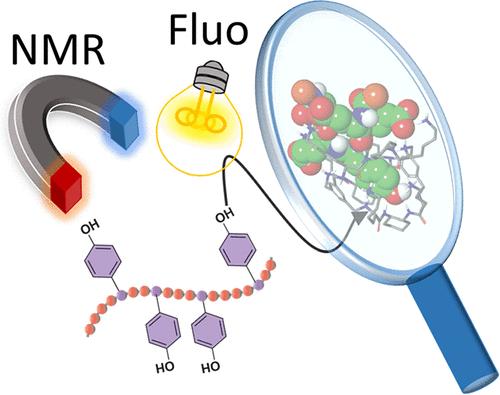 Molecular Recognition of Tyrosine-Containing Polypeptides with Pseudopeptidic Cages Unraveled by Fluorescence and NMR Spectroscopies