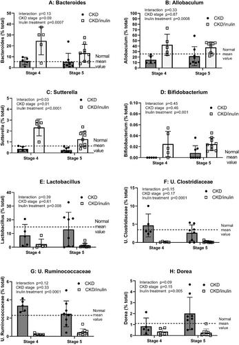 The Dietary Fiber Inulin Slows Progression of Chronic Kidney Disease–Mineral Bone Disorder (CKD-MBD) in a Rat Model of CKD