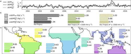 Water Stress Dominates 21st-Century Tropical Land Carbon Uptake