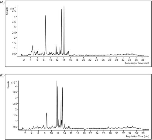 Comprehensive LC-MS/MS phenolic profiling of Arum elongatum plant and bioaccessibility of phenolics in their infusions