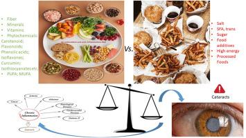 Pro-inflammatory and pro-oxidant diets are associated with increased odds of cataracts and serum biomarkers of inflammation and oxidative stress: Hospital-based case-control study