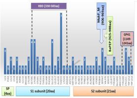 Natural flavonoid pectolinarin computationally targeted as a promising drug candidate against SARS-CoV-2