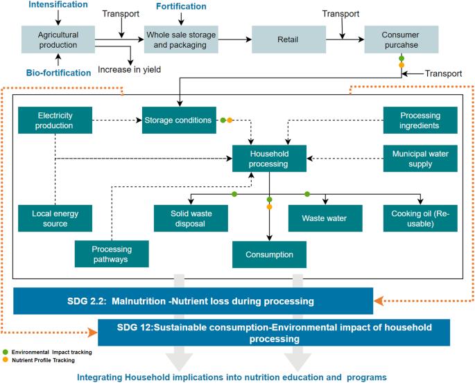 Nutritional-environmental trade-offs in potato storage and processing for a sustainable healthy diet