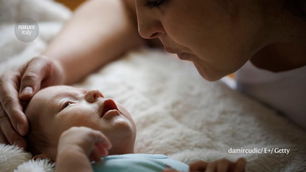 Mother tongue shapes the brain before birth