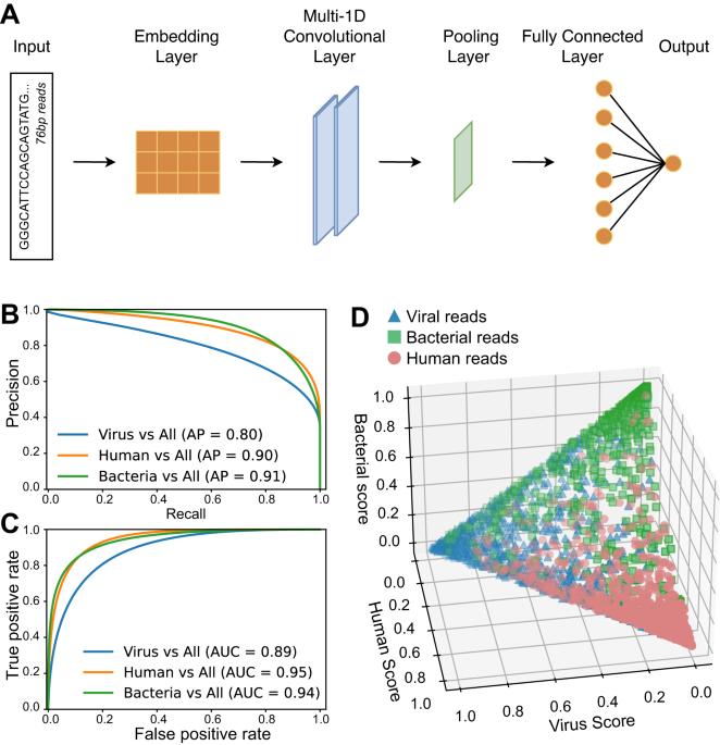 Microbial gene expression analysis of healthy and cancerous esophagus uncovers bacterial biomarkers of clinical outcomes