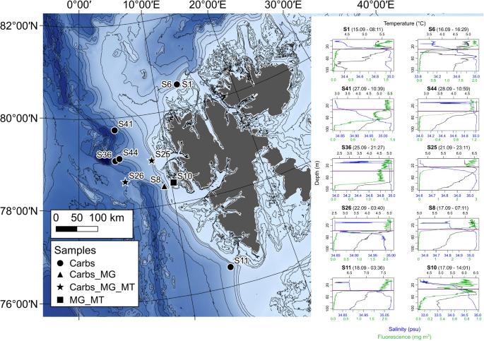 Carbohydrates and carbohydrate degradation gene abundance and transcription in Atlantic waters of the Arctic