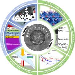 Recent advances in perovskite/Cu(In,Ga)Se2 tandem solar cells