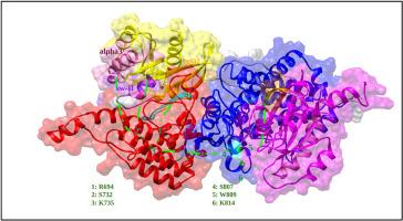 Studying early structural changes in SOS1 mediated KRAS activation mechanism