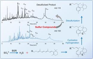 The occurrence and geochemical origin of 9-alkyl HDBTs substituted by long isoprenoid alkyl chains in crude oil