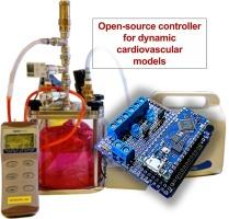 Open-source controller for dynamic cardiovascular models