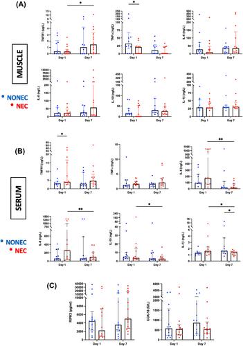 Programmed myofibre necrosis in critical illness acquired muscle wasting