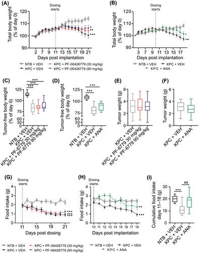 Pharmacological inhibition of IRAK4 kinase activity does not prevent cachexia in mice with pancreatic cancer