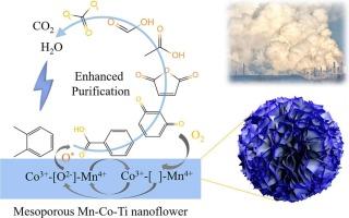 Catalytic performance of mesoporous Mn-Co-Ti for o-xylene degradation: Mechanistic study under practical conditions