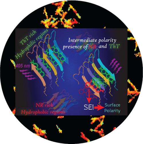Sensitized Emission Imaging Allows Nanoscale Surface Polarity Mapping of α-Synuclein Amyloid Fibrils