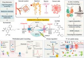 The role of SLC12A family of cation-chloride cotransporters and drug discovery methodologies