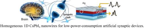 Heterogeneous interface engineering enabling homogeneous metal halide perovskite nanowires for artificial synapses