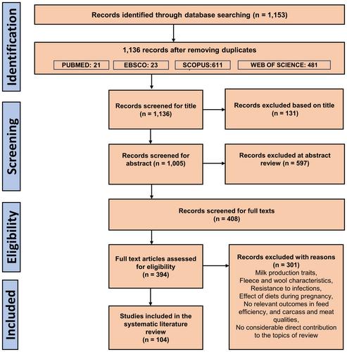 Insights into the influence of diet and genetics on feed efficiency and meat production in sheep