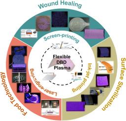 The outlook of flexible DBD-plasma devices: Applications in food science and wound care solutions