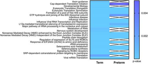 Gestational age at birth influences protein and RNA content in human milk extracellular vesicles