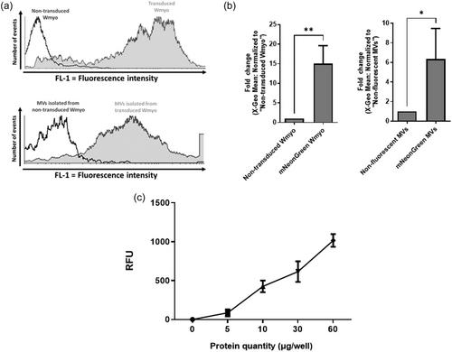 The diffusion of normal skin wound myofibroblast-derived microvesicles differs according to matrix composition