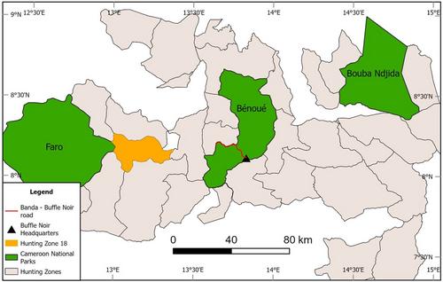 Preliminary population estimate of Kordofan giraffe (Giraffa camelopardalis antiquorum) in two areas of the Benoué complex, Cameroon