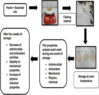 Stability of antimicrobial, antioxidant, and functional properties of pectin-based film incorporated with Thymus capitatus and Cinnamomum verum essential oils