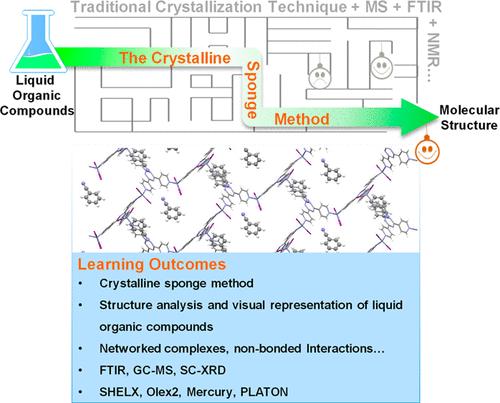 Capturing the Precise Structure of Liquids: The Crystalline Sponge Method for an Undergraduate Laboratory Course
