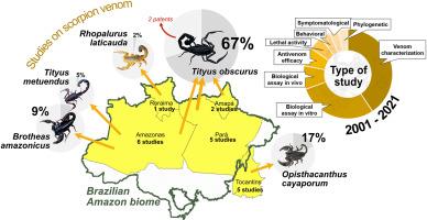 Exploring the potential of Brazilian Amazonian scorpion venoms: A comprehensive review of research from 2001 to 2021