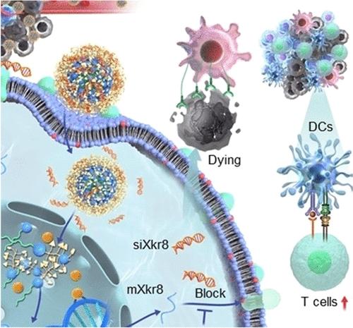 Nuclear-Targeting Lipid PtIV Prodrug Amphiphile Cooperates with siRNA for Enhanced Cancer Immunochemotherapy by Amplifying Pt-DNA Adducts and Reducing Phosphatidylserine Exposure