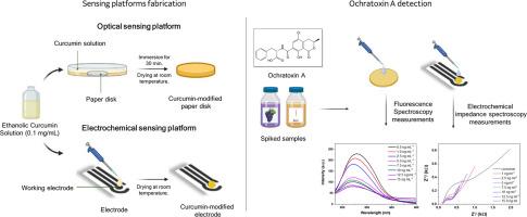 Low-cost paper-based sensors modified with curcumin for the detection of ochratoxin a in beverages