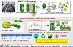 Advanced wastewater treatment with microalgae-indigenous bacterial interactions