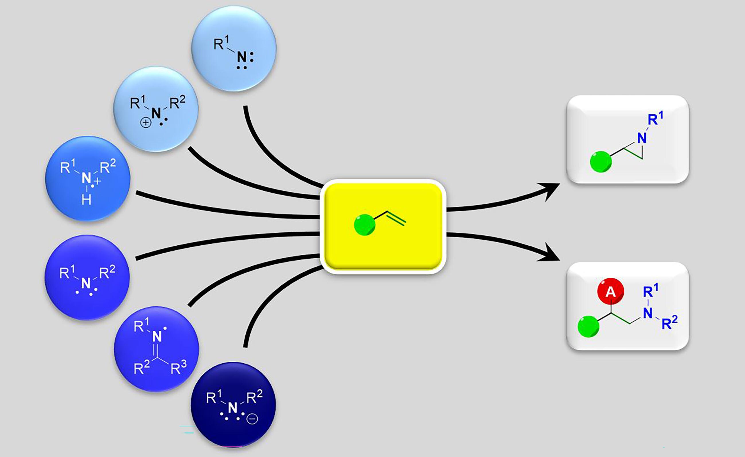 Strategies for Direct, Transition Metal-Free Addition of Nitrogen Synthons to Alkenes