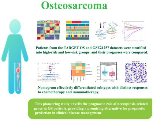 Necrotizing apoptosis-related genes prognosis and treatment effect analysis of osteosarcoma in children