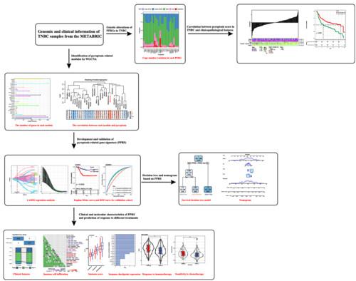 Novel molecular insights into pyroptosis in triple-negative breast cancer prognosis and immunotherapy