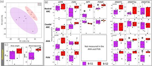 Preconceptional and in utero exposure of sheep to a real-life environmental chemical mixture disrupts key markers of energy metabolism in male offspring